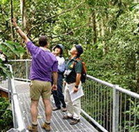 Daintree Discovery Centre - Accommodation Brunswick Heads