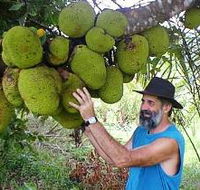 Cape Trib Exotic Fruit Farm - Accommodation Brunswick Heads