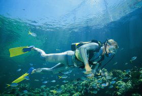 Tijou Reef - Accommodation Brunswick Heads 0