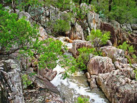 Crows Nest National Park - Accommodation Brunswick Heads 0