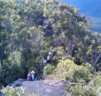 Mia Mia State Forest - Accommodation Brunswick Heads