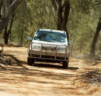 Ward River 4x4 Stock Route Trail - Accommodation Brunswick Heads