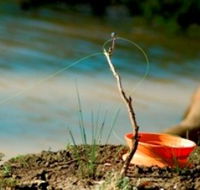 Charleville - Mangalore Warrego River Fishing Spot - Accommodation Brunswick Heads