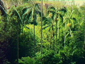 Selene QLD Accommodation Brunswick Heads