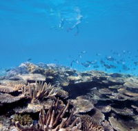 Australian Institute of Marine Science - Accommodation Brunswick Heads