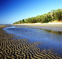 Burrum Coast National Park - Accommodation Brunswick Heads