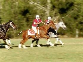 Accommodation Brunswick Heads