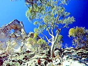 Mitchell QLD Accommodation Brunswick Heads