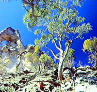 Mount Moffatt Section - Carnarvon National Park - Accommodation Brunswick Heads