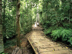 Kureen QLD Accommodation Brunswick Heads