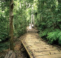 Lake Barrine Circuit Track Crater Lakes National Park - Accommodation Brunswick Heads