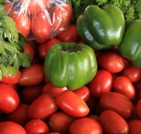 Burleigh Heads Markets - Accommodation Brunswick Heads