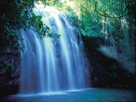 Zillie Falls - Accommodation Brunswick Heads 0