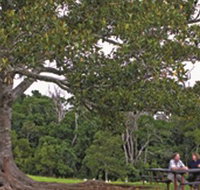 Ravensbourne National Park - Accommodation Brunswick Heads