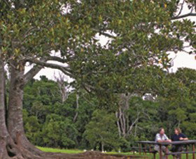 Ravensbourne National Park - Accommodation Brunswick Heads 0
