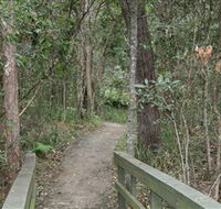 Springwood Conservation Park - Accommodation Brunswick Heads