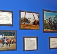 Town Hall Photographic Display - Accommodation Brunswick Heads