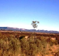 Tambos Wilderness Way - Accommodation Brunswick Heads