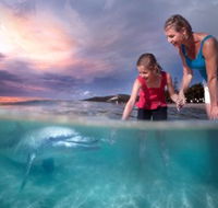 Tangalooma Island Resort - Accommodation Brunswick Heads