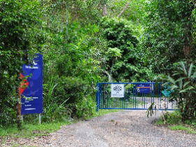 The Bat Hospital Visitor Centre - Accommodation Brunswick Heads 0