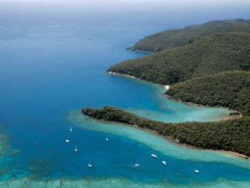 Butterfly Bay - Hook Island - Accommodation Brunswick Heads 0