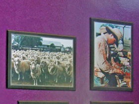 Charleville Photographic Display - Accommodation Brunswick Heads 0