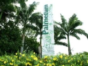 Townsville Palmetum - Accommodation Brunswick Heads 0