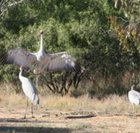 Bulloo River Walk - Accommodation Brunswick Heads