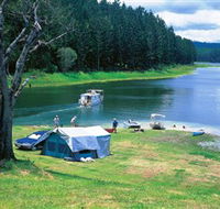 Danbulla National Park and Danbulla State Forest - Accommodation Brunswick Heads