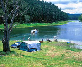 Danbulla National Park And Danbulla State Forest - Accommodation Brunswick Heads 0