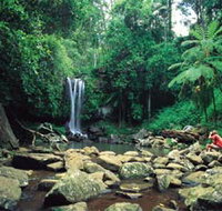 Tamborine National Park - Accommodation Brunswick Heads
