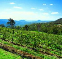 Preston Peak Wines - Accommodation Brunswick Heads