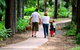Emerald Botanic Gardens - thumb 0