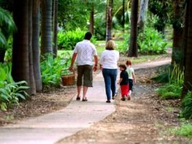 Emerald Botanic Gardens - Accommodation Brunswick Heads 0