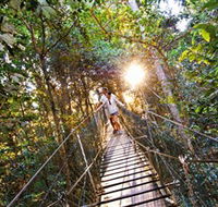 Tree Top Walkway - Accommodation Brunswick Heads
