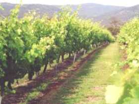 Girraween Estate - Accommodation Brunswick Heads 0