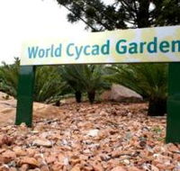 Anderson Park Botanic Gardens - Accommodation Brunswick Heads