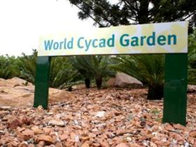 Anderson Park Botanic Gardens - Accommodation Brunswick Heads 0