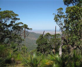 Zamia Walk - Accommodation Brunswick Heads 0