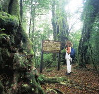 Tooloona Creek circuit - Accommodation Brunswick Heads