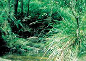 Newbury VIC Accommodation Brunswick Heads