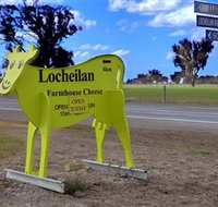 Locheilan Farmhouse Cheese - Accommodation Brunswick Heads