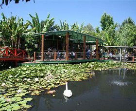 Blue Lotus Water Garden - Accommodation Brunswick Heads 0