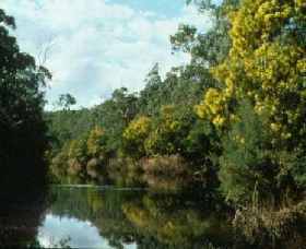 Warrandyte State Park - Accommodation Brunswick Heads 0