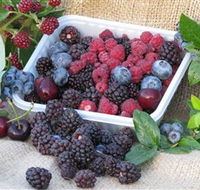 Bright Berry Farms - Accommodation Brunswick Heads