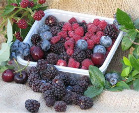 Bright Berry Farms - Accommodation Brunswick Heads 0