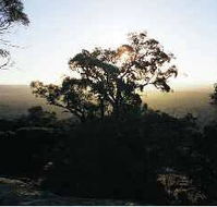 Yarra Flats - Accommodation Brunswick Heads