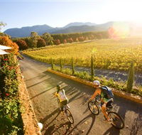 Boyntons Feathertop Winery - Accommodation Brunswick Heads