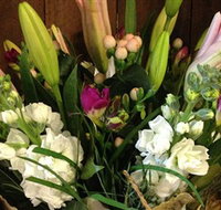 Alpine Blooms Florist Mansfield - Accommodation Brunswick Heads