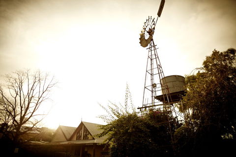 Brown Brothers Milawa Vineyard - Accommodation Brunswick Heads 1